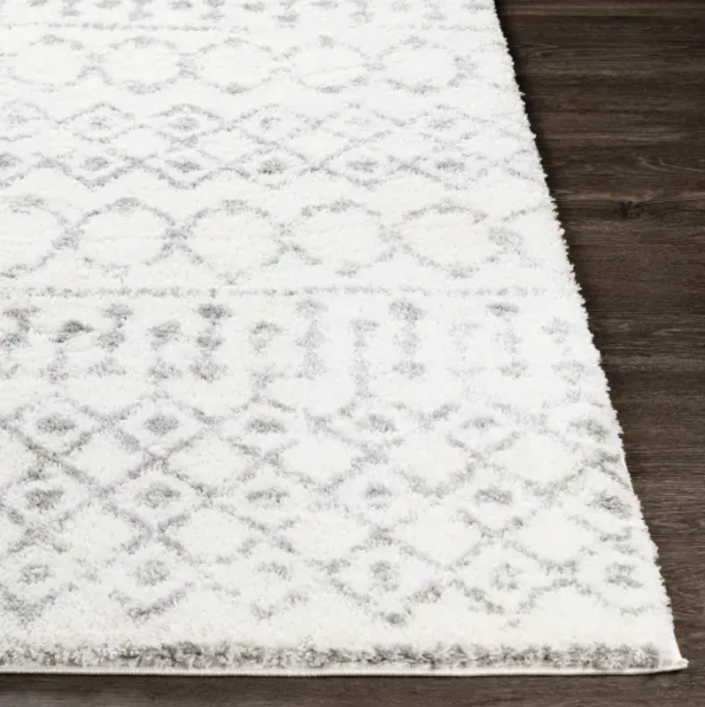 Aliyah shag 2' x 3' Rug