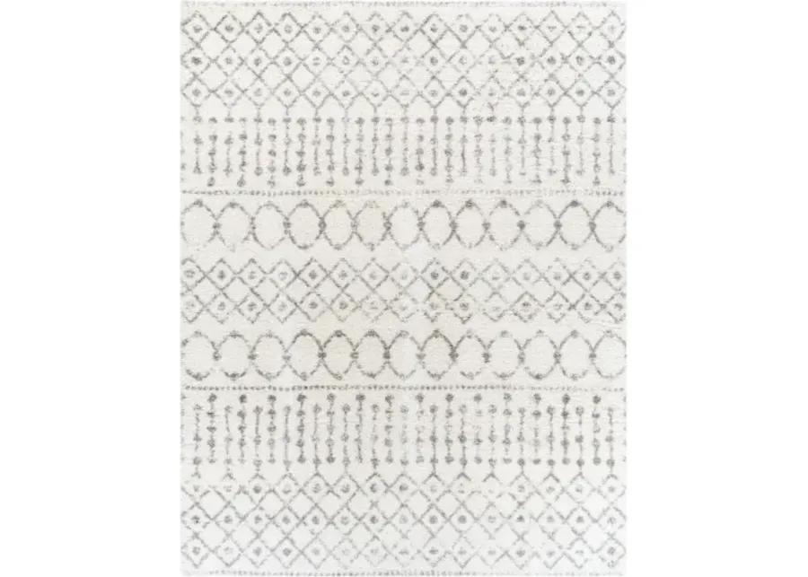 Aliyah shag 2' x 3' Rug