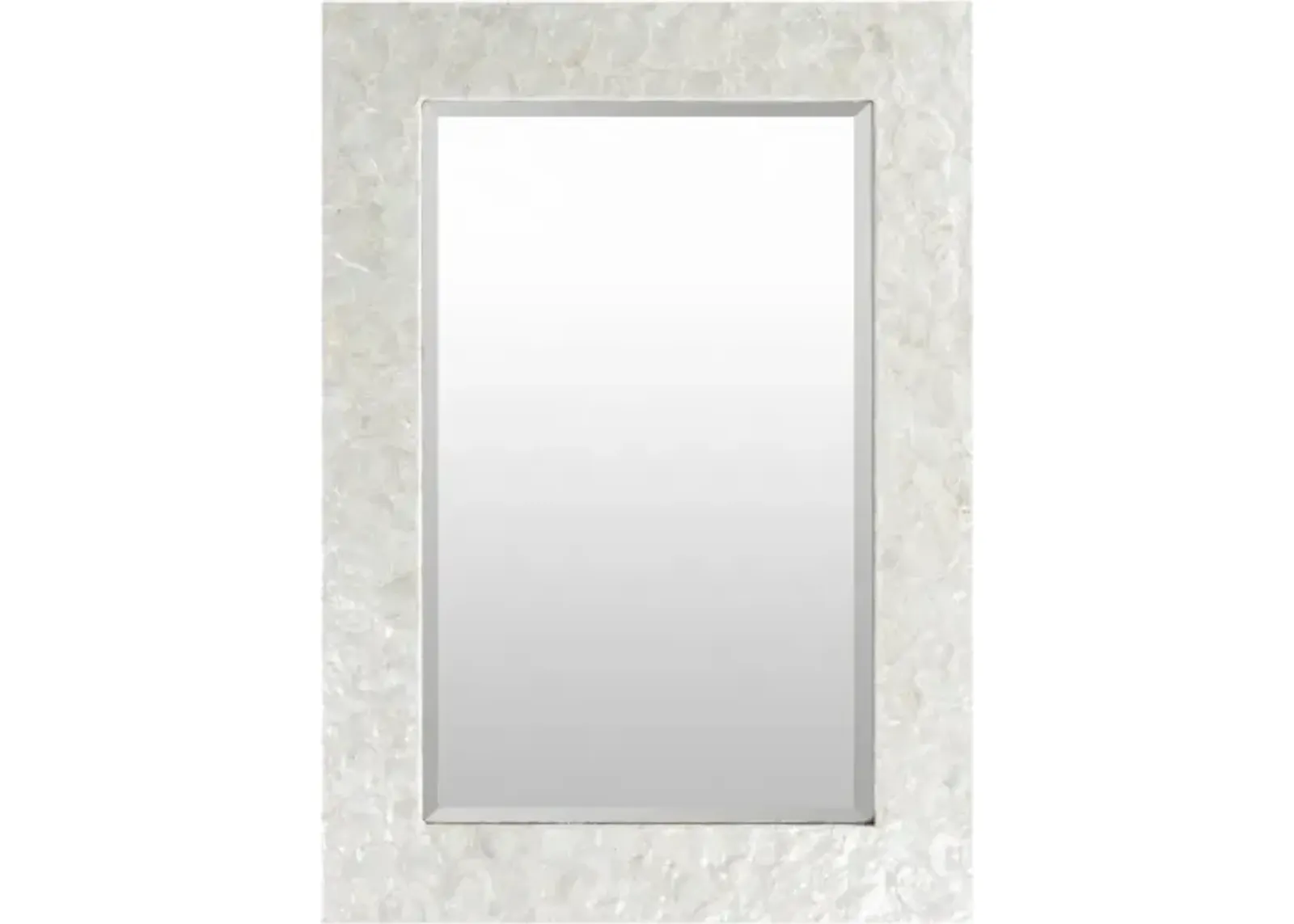 Whitaker 40"H x 28"W Mirror