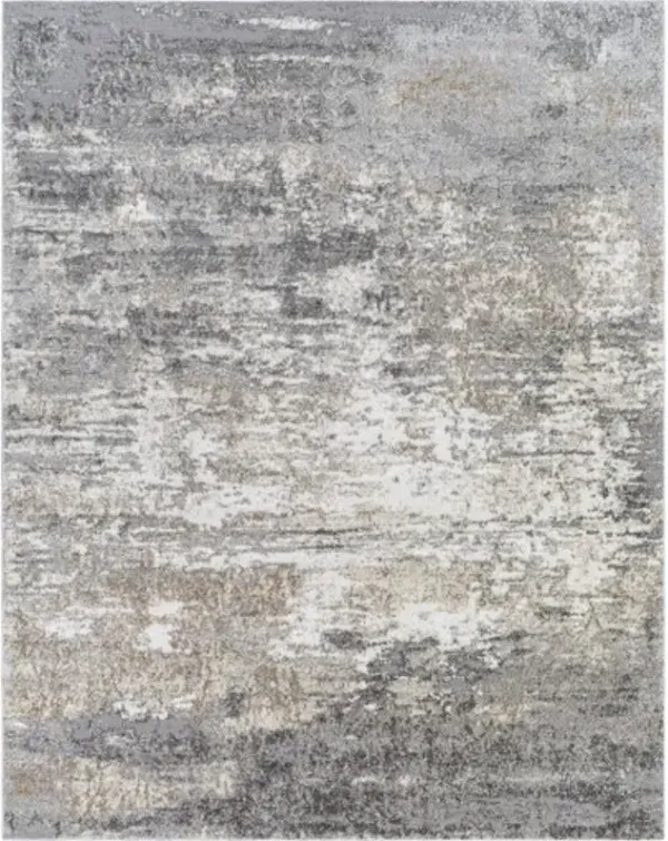 Andorra ARD-2306 6'7" x 9' Machine Woven Rug