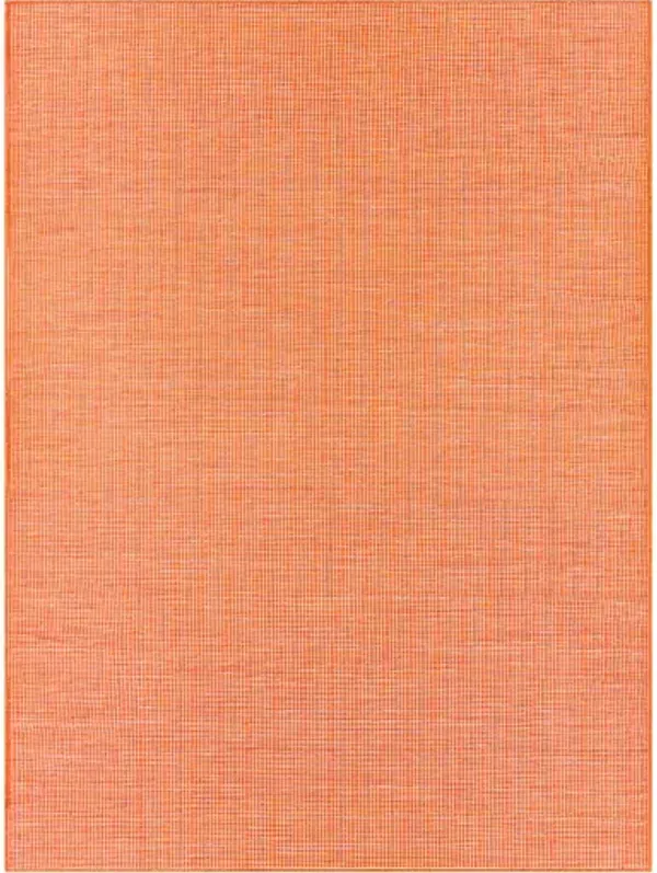 Pasadena 2'6" x 4' Rug