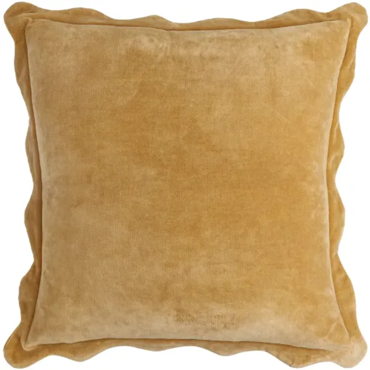 Effervescent EFC-001 22"L x 22"W Accent Pillow