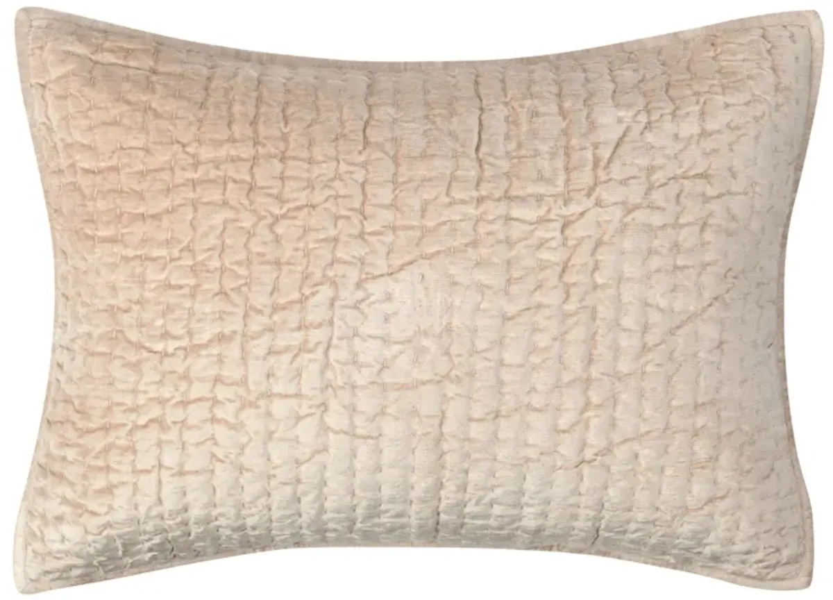 Dimitry 100% Rayon Velvet Nude Standard Sham