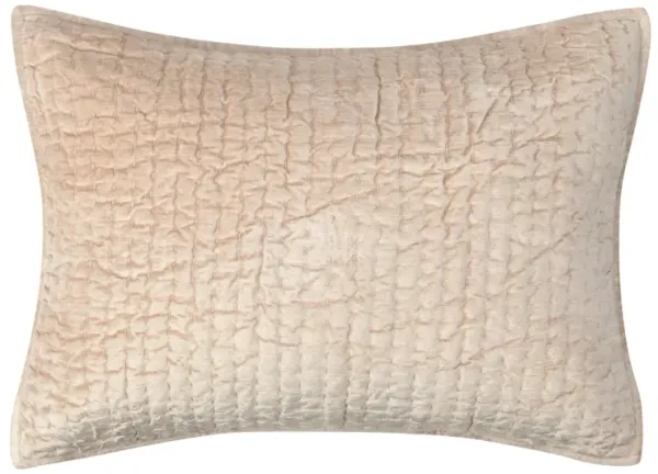 Dimitry 100% Rayon Velvet Nude Standard Sham