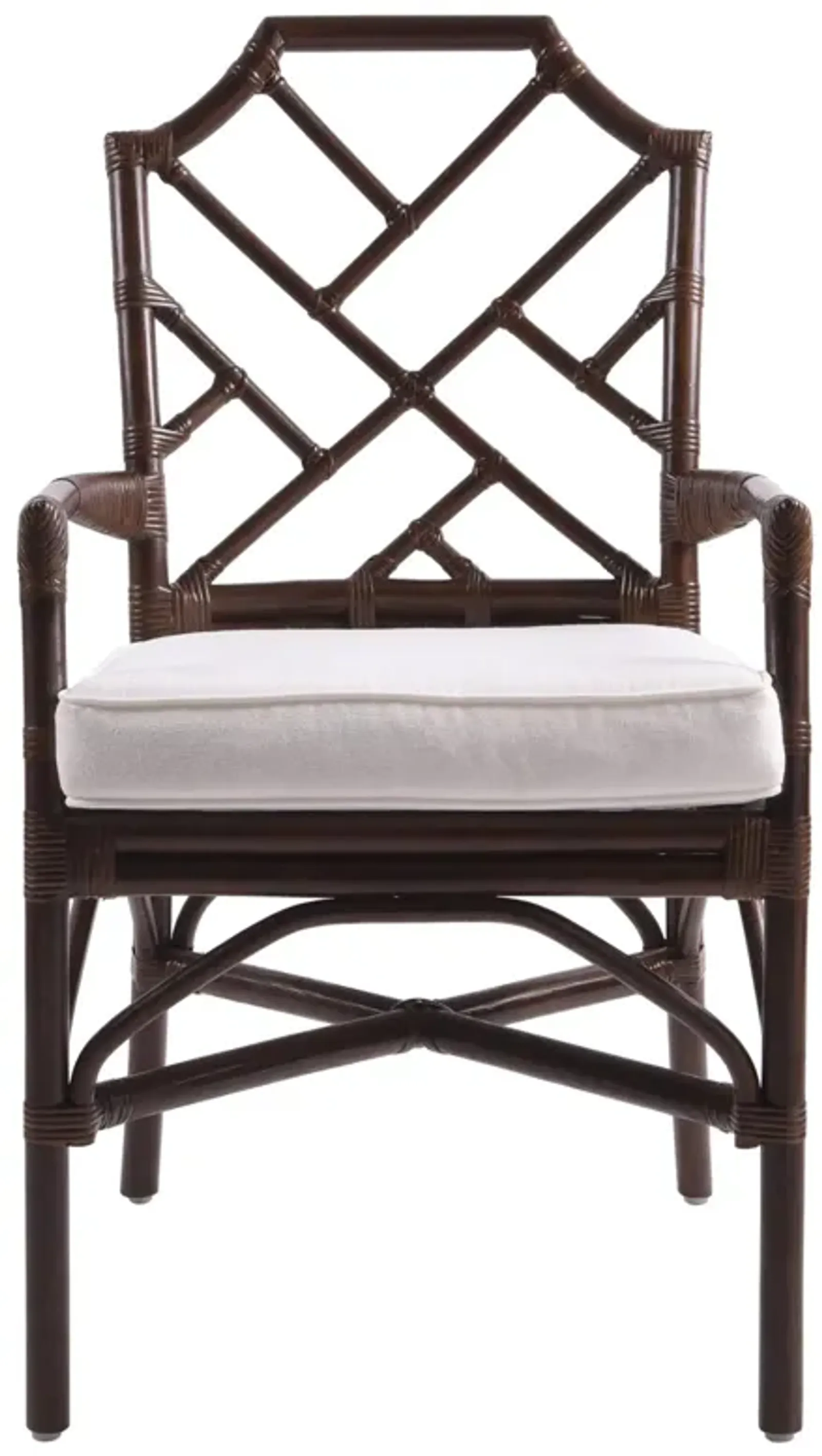 Kara Paloma Brown Dining Chair