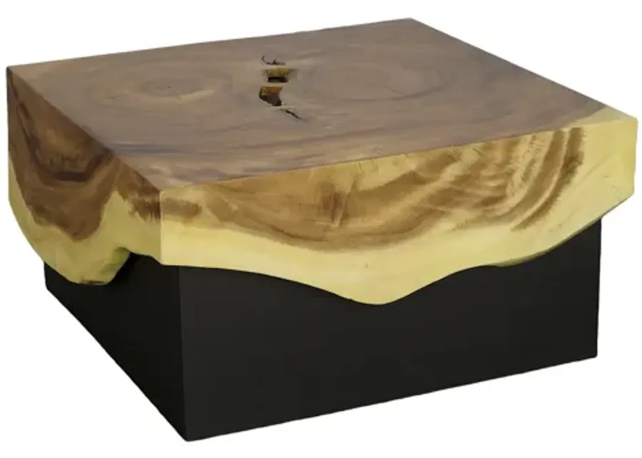 Overflow Coffee Table, Natural, Iron