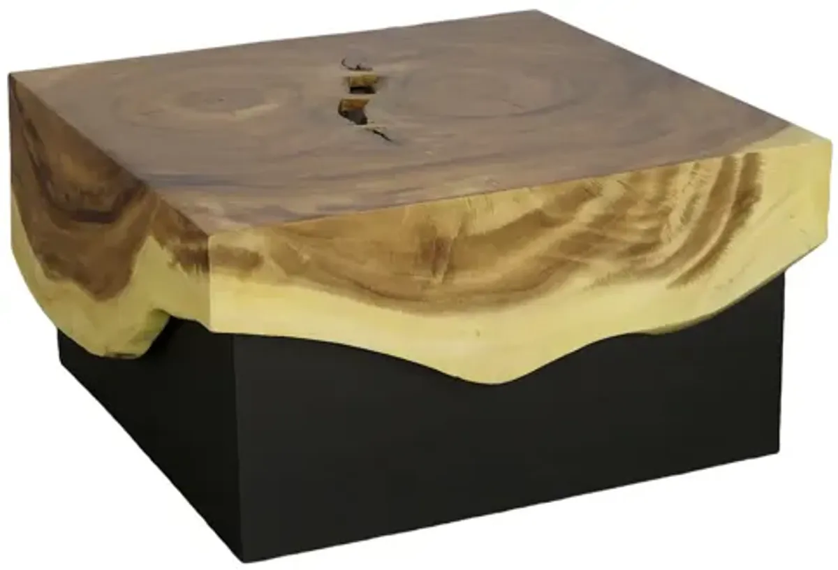 Overflow Coffee Table, Natural, Iron