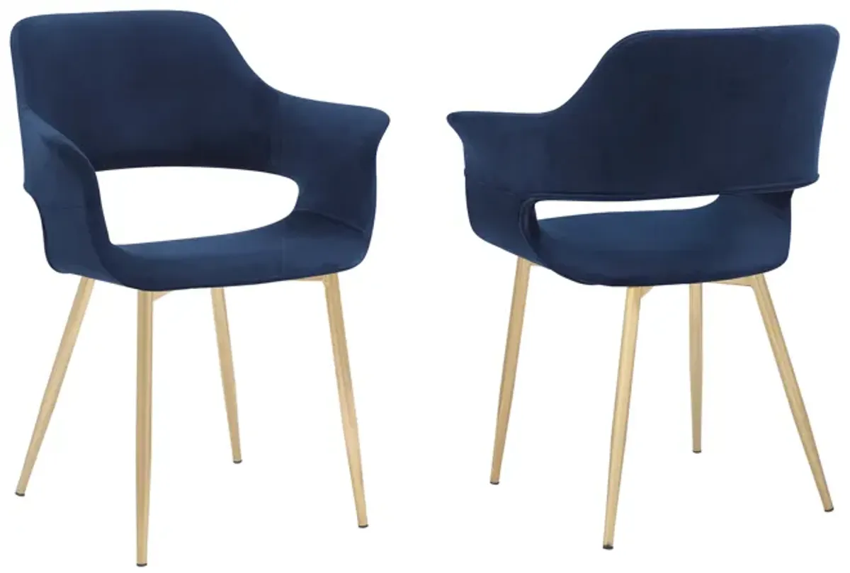 Gigi Blue Velvet Dining Room Chair with Gold Metal Legs - Set of 2