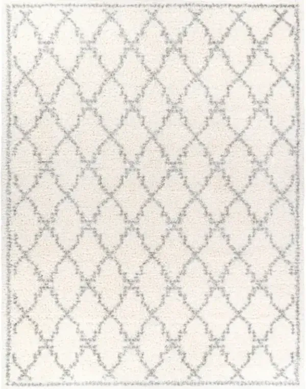 Deluxe Shag 6'7" x 9' Rug