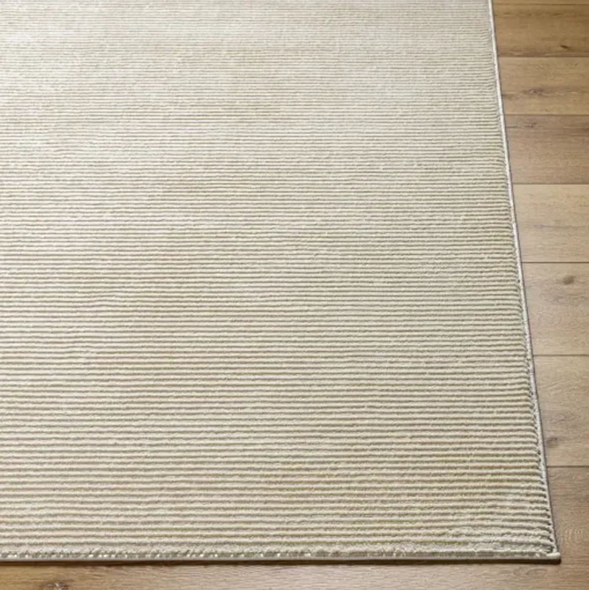 Alder ALD-2304 1'11" x 3'9" Machine Woven Rug