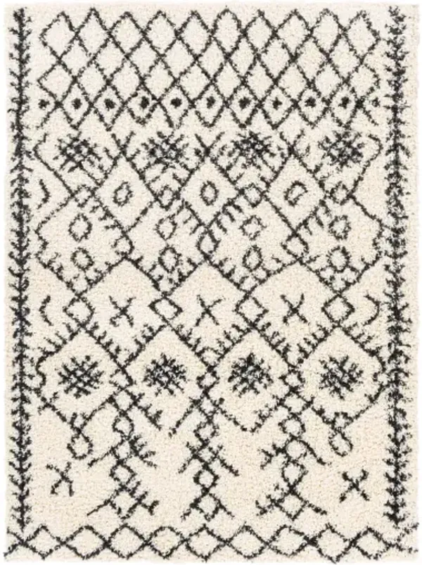 Beni shag 5'3" x 7' Rug