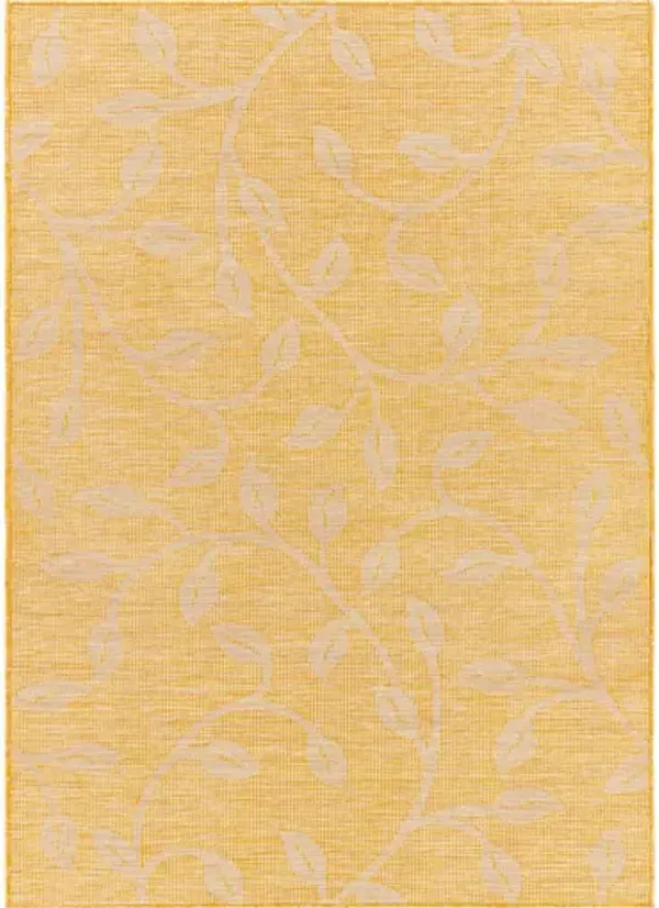 Pasadena 2'6" x 4' Rug