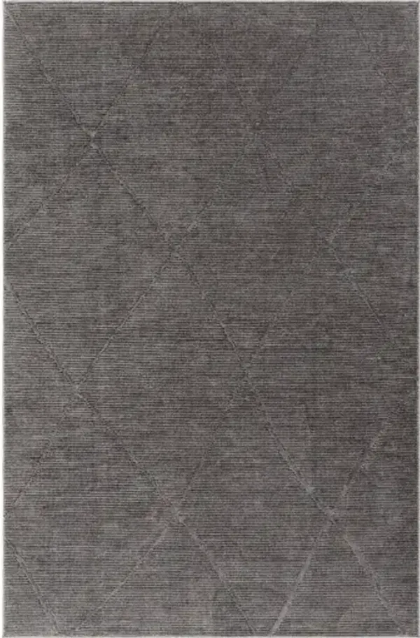 Alder ALD-2302 5' x 7' Machine Woven Rug