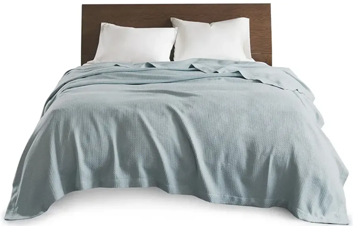 Madison Park Egyptian Cotton Light Blue Blanket