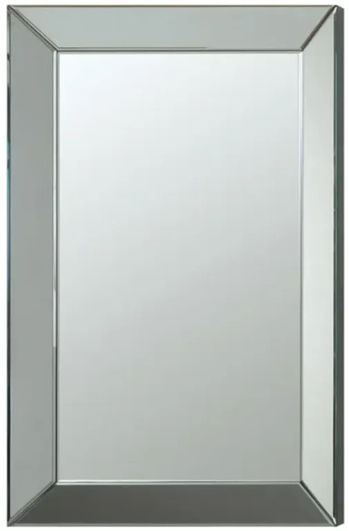 Pinciotti Rectangular Beveled Wall Mirror Silver