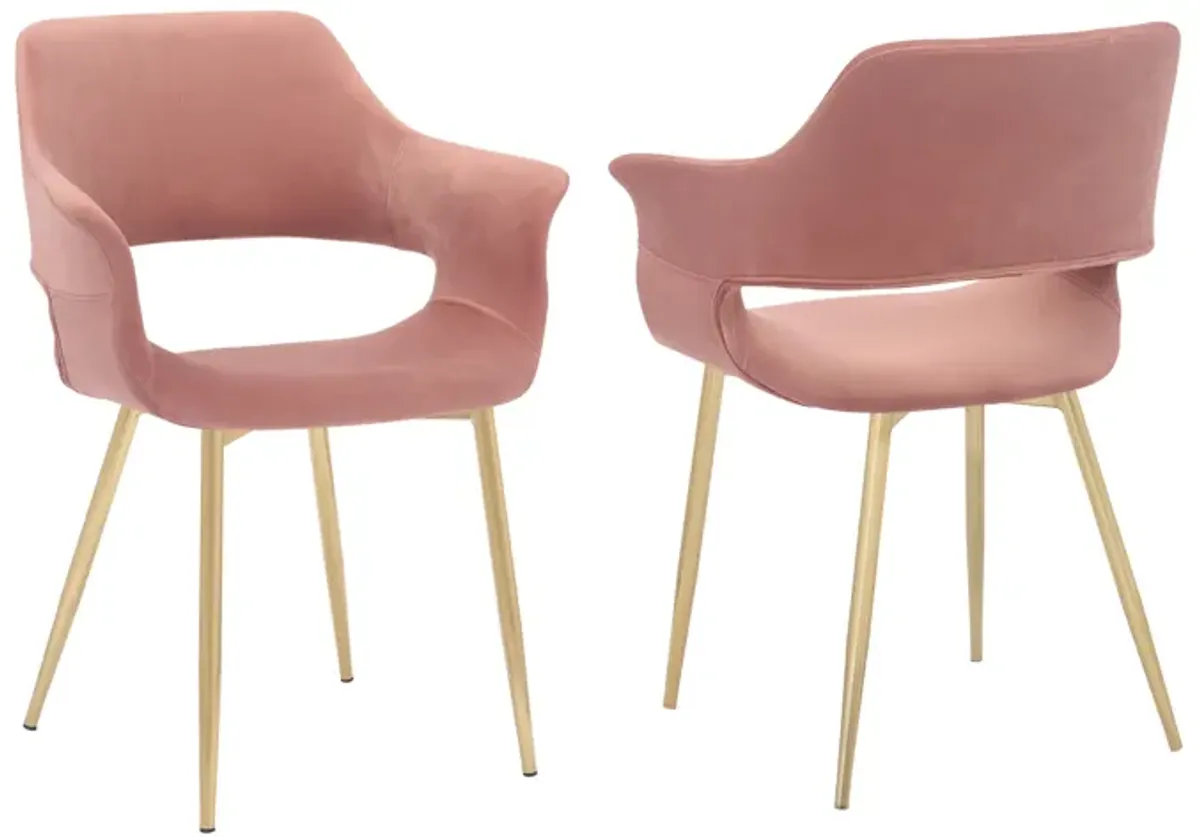 Gigi Pink Velvet Dining Room Chair with Gold Metal Legs - Set of 2