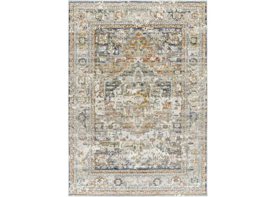 Edmonton EDO-2301 6'7" x 9' Machine Woven Rug