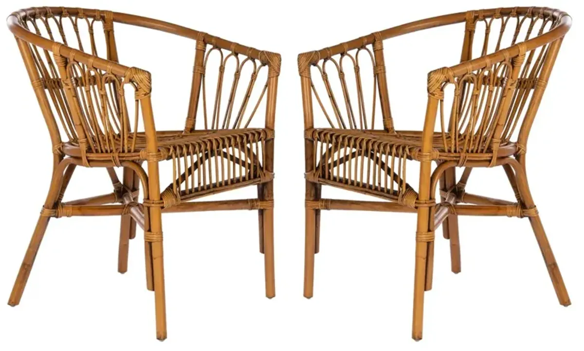 ADRIANA RATTAN ACCENT CHAIR - Set of 2