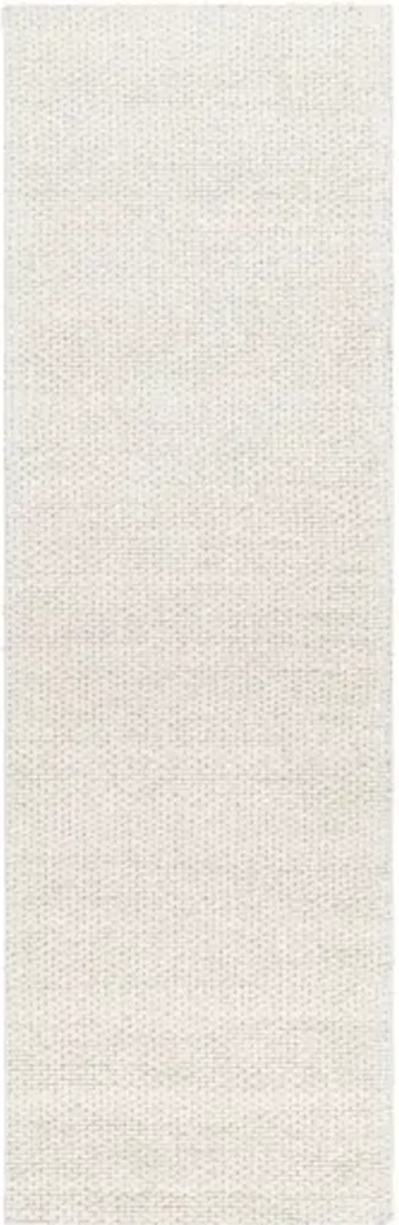 Colarado 2' x 3' Rug