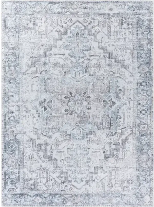Embrace EMA-2303 7'10" x 10' Machine Woven Rug
