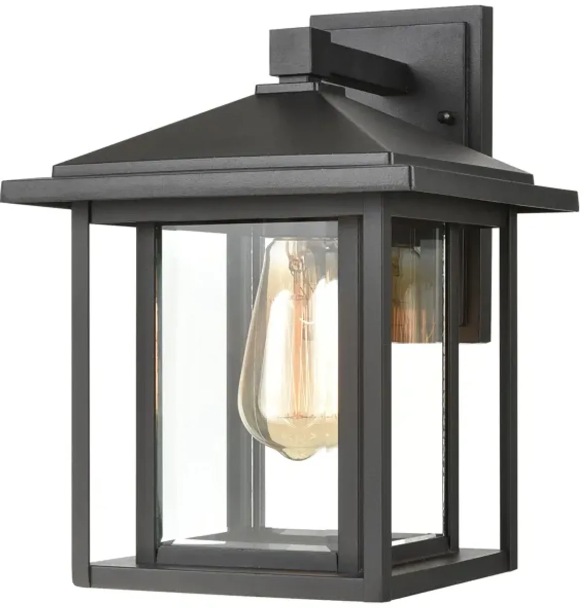 Solitude 1-Light Sconce in Matte Black with Clear Glass