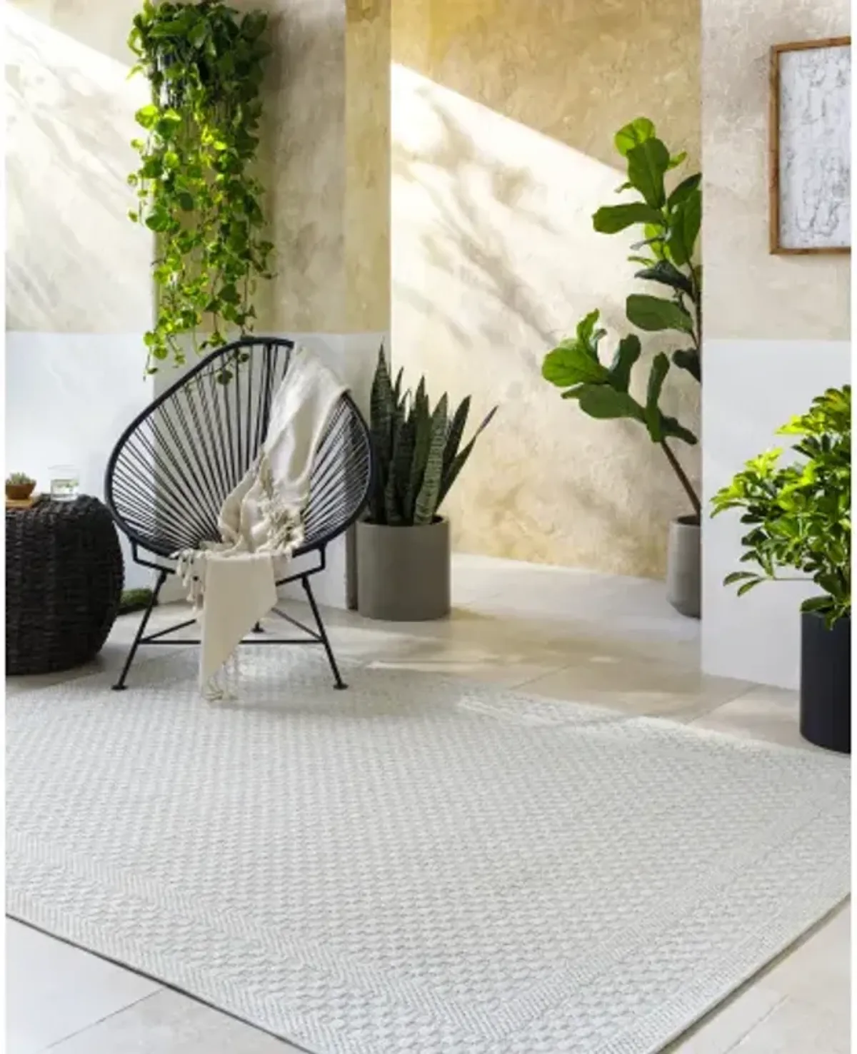 Sandra SDR-2302 5'3" x 7' Machine Woven Rug