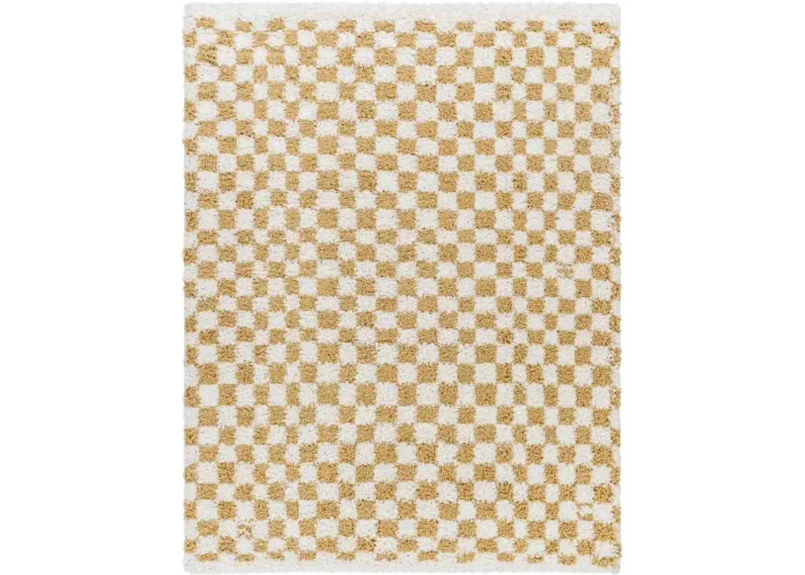 Birmingham BMM-2323 6'7" x 9' Machine Woven Rug