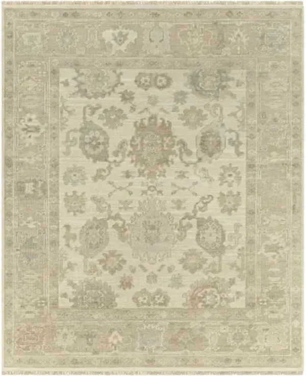 Antalya AAT-2304 10' x 14' Handmade Rug
