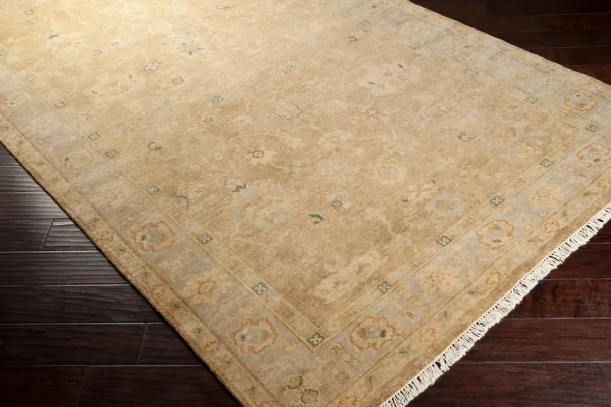 transcendent 5'6" x 8'6" rug