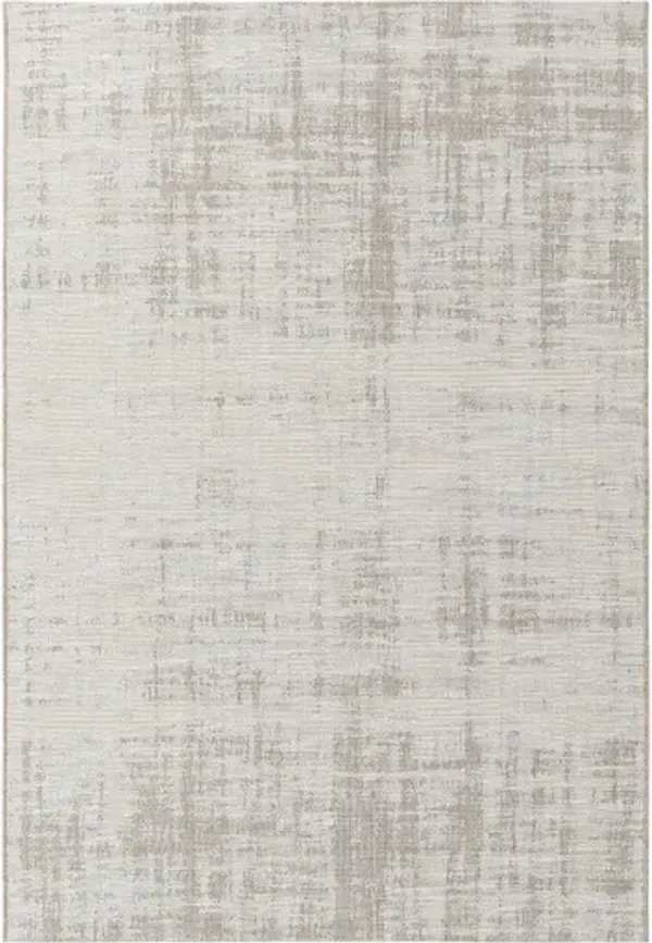 Santa Cruz 5'3" x 7'7" Rug