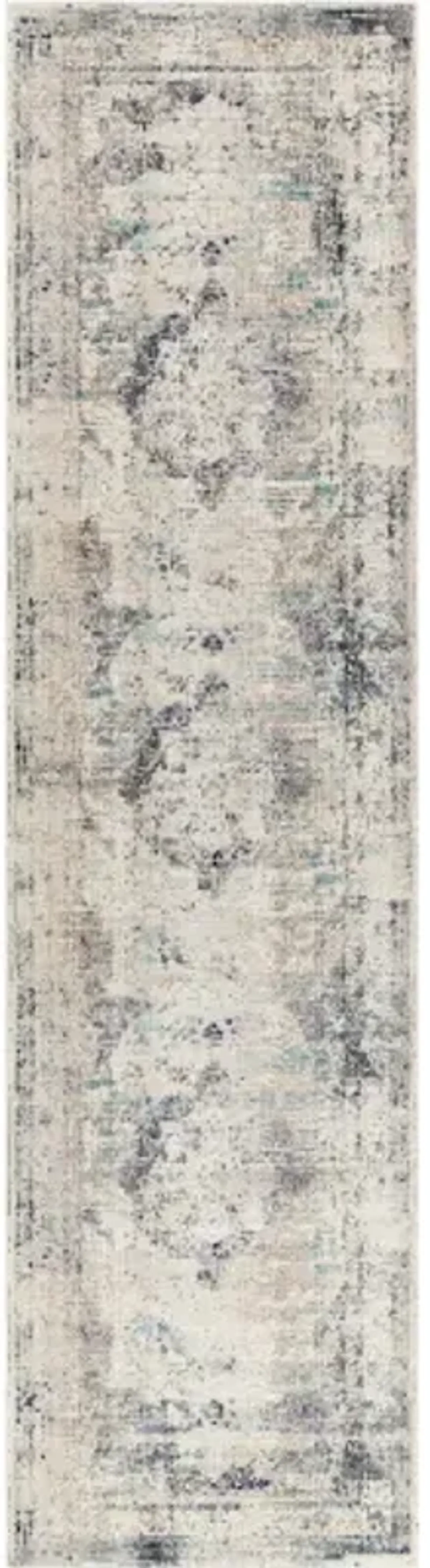 Dublin 2'7" x 10'2" Rug