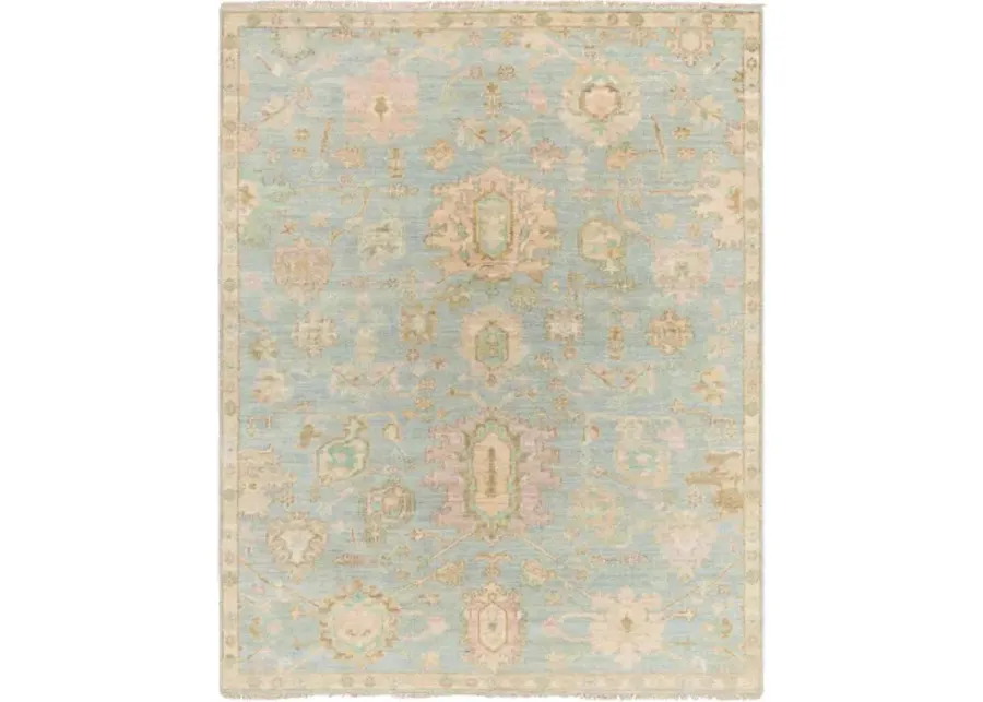 Antalya AAT-2310 12' x 15' Handmade Rug