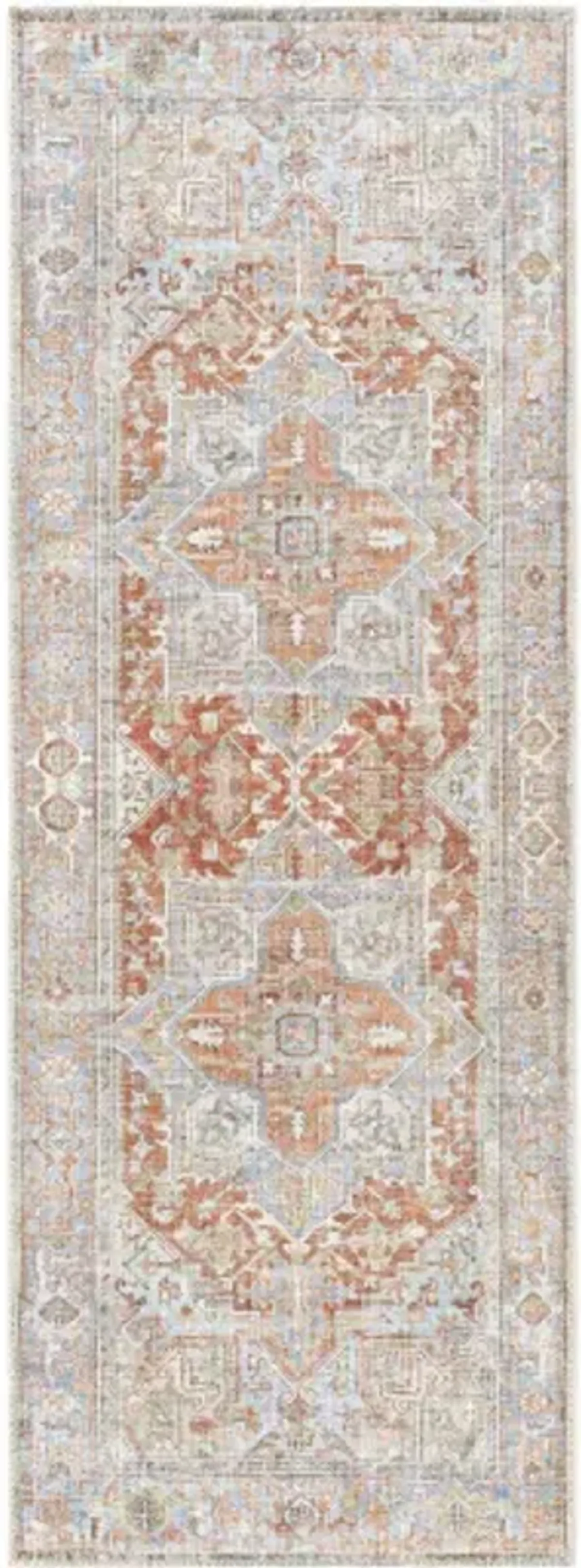 Alanya ALY-2305 2'7" x 7'3" Rug