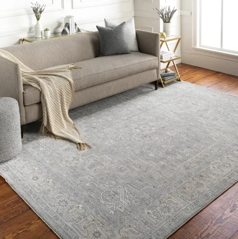 Avant Garde AVT-2301 2'7" x 10' Rug