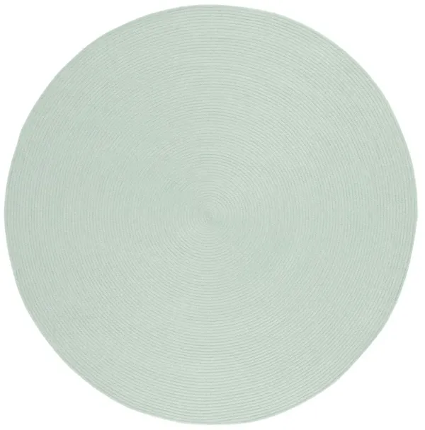 BRAIDED Hand Woven 5' x 5' Round area rug