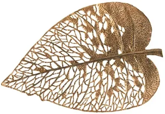 birch leaf wall art, copper, md