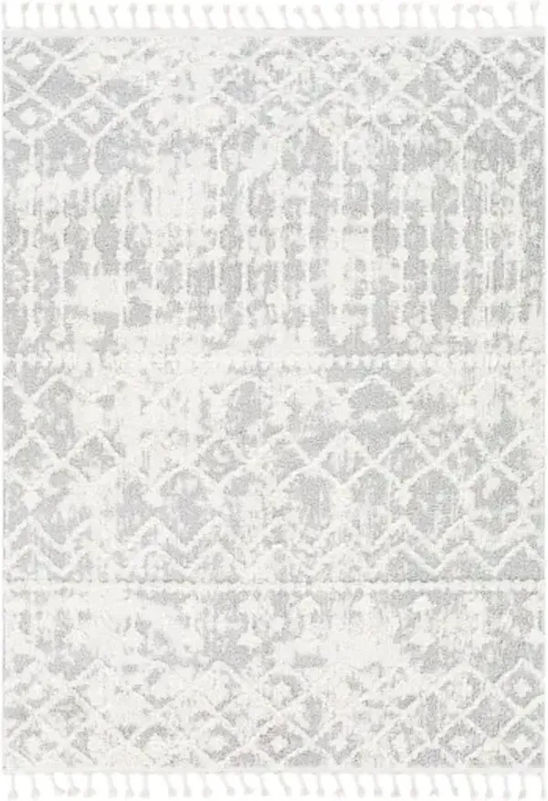 Alhambra 5'3" x 7' Rug