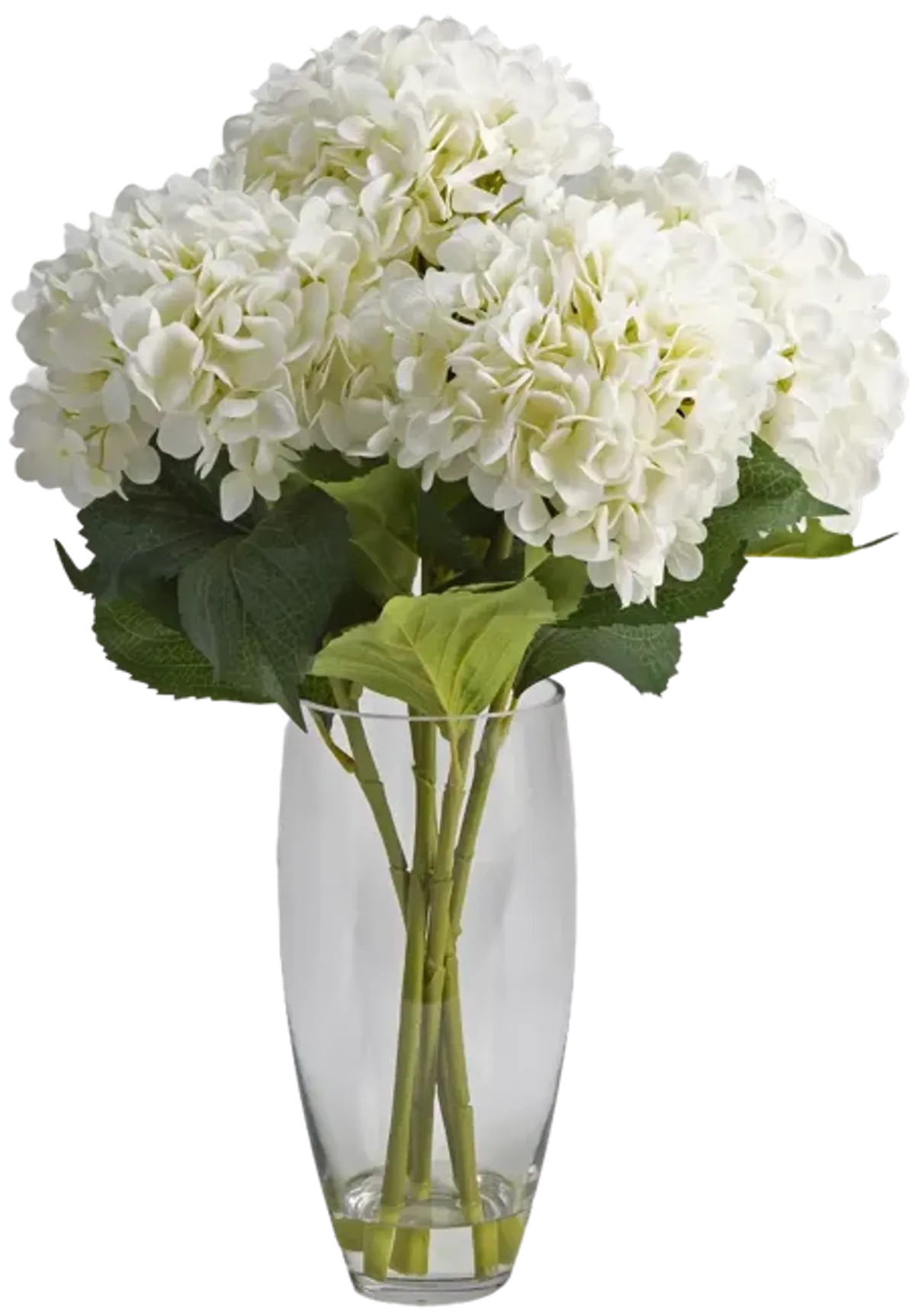 Hydrangeas in Vase