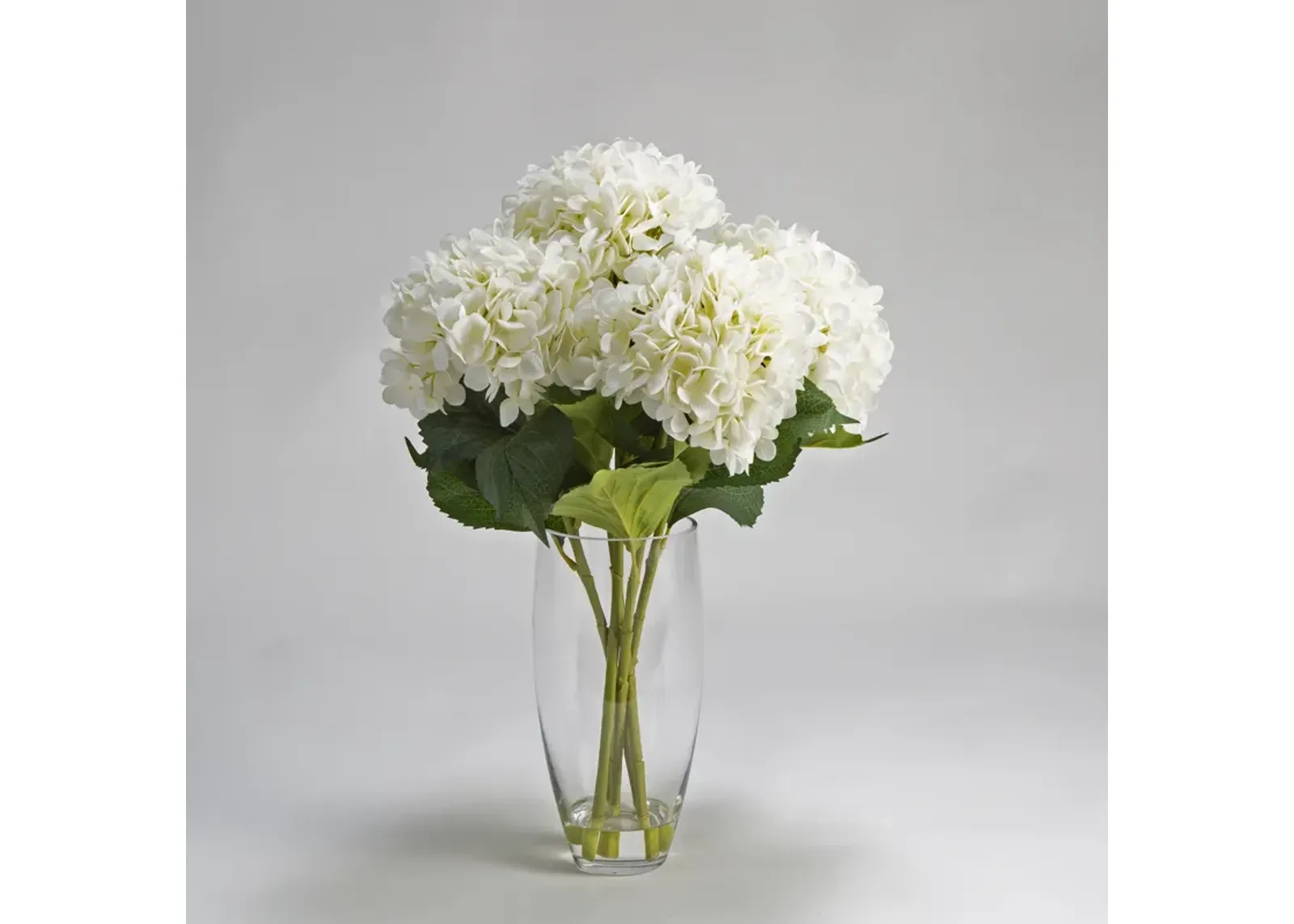 Hydrangeas in Vase