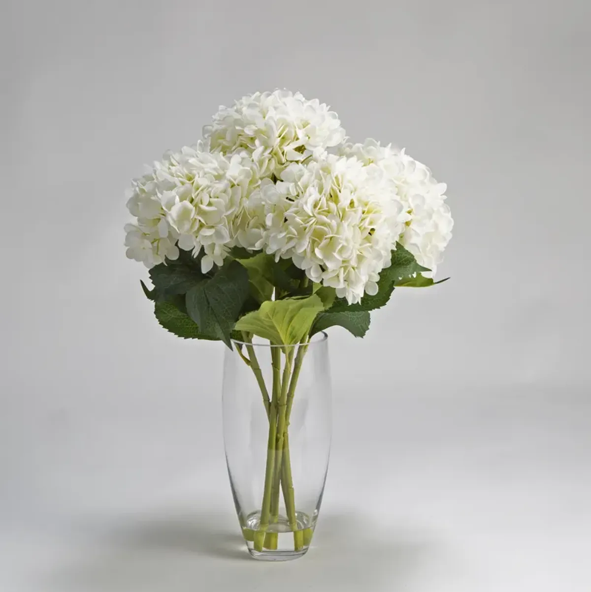 Hydrangeas in Vase