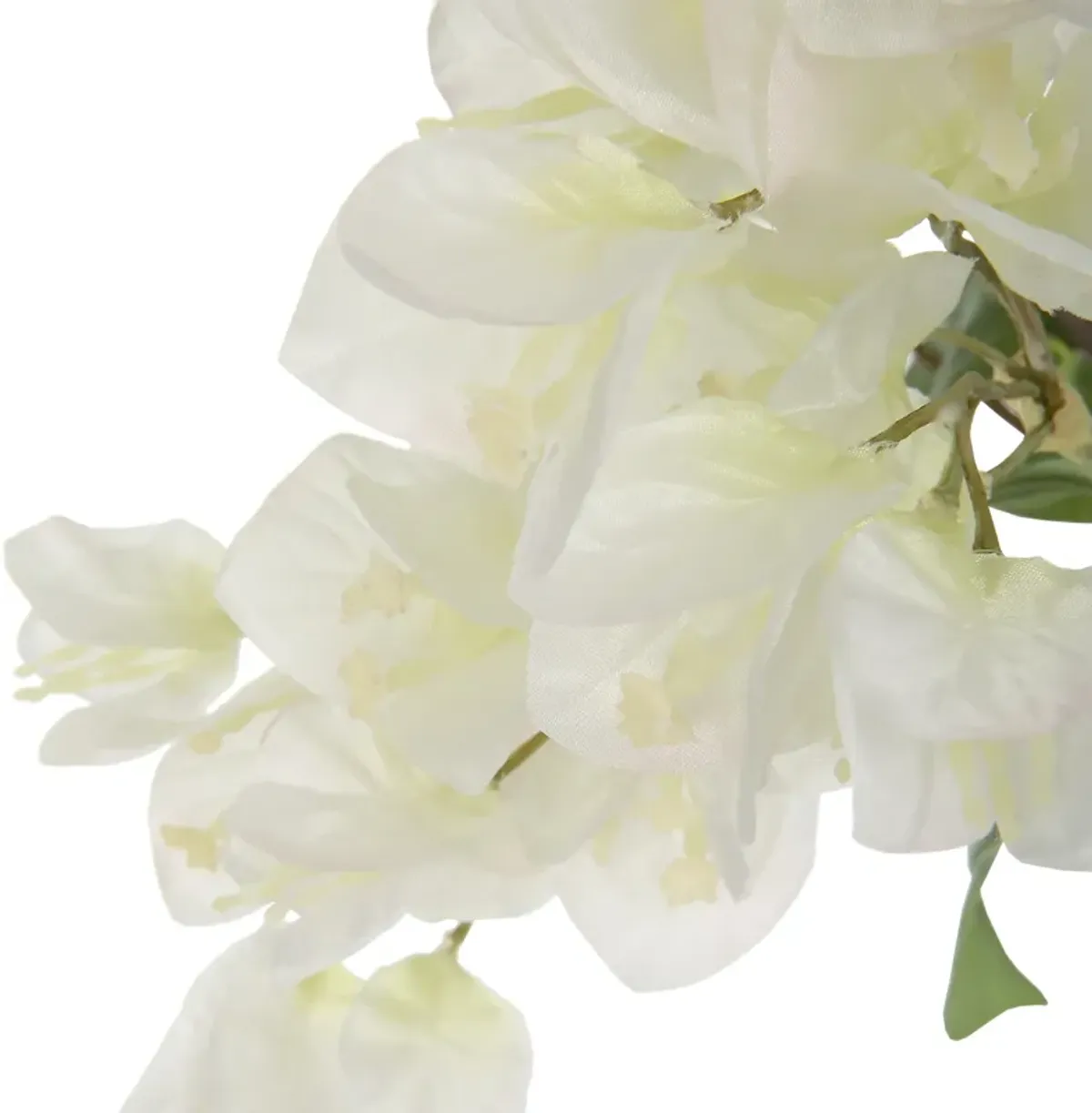 Antiparos Bougainvillea Centerpiece