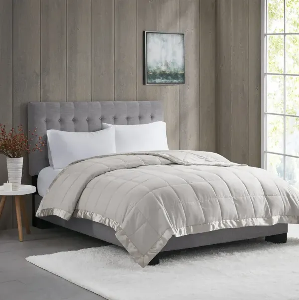 Madison Park Windom Grey Lightweight Down Alternative Blanket with Satin Trim