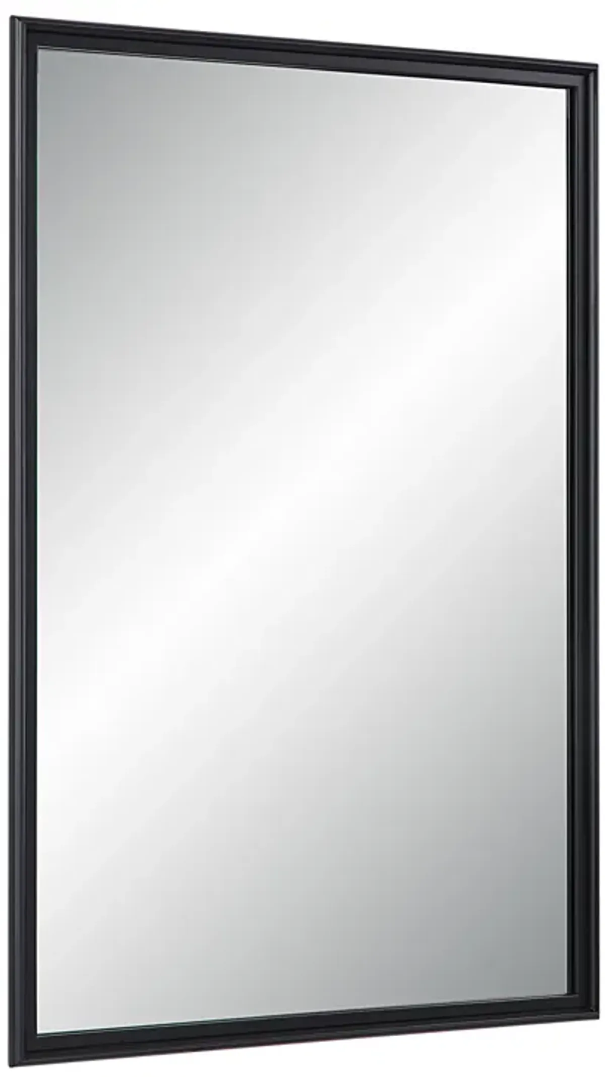 Lausanne 36" Tall Rectangular Mirror, Matte Black