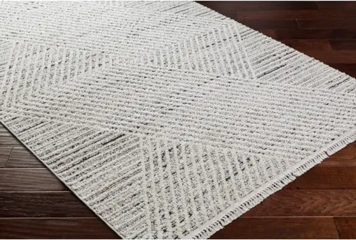 Berlin BLR-2302 6'7" x 9' Machine Woven Rug