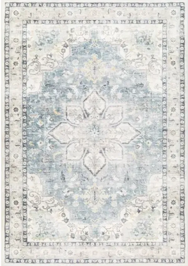 Erin ERN-2320 2'7" x 4' Machine Woven Rug