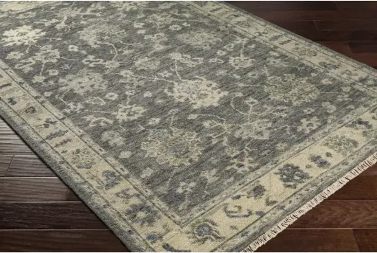 Biscayne BSY-2307 10' x 14' Handmade Rug