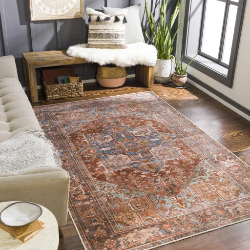 Lavable 2' x 3' Rug