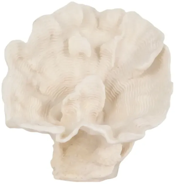 12" Coral Fan Decor, Ivory