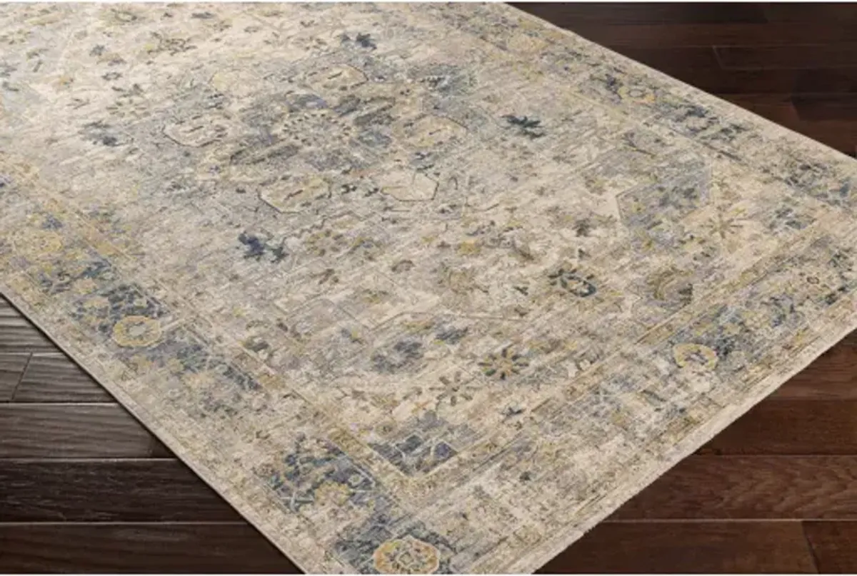 Aspendos APS-2310 2'7" x 7'3" Rug