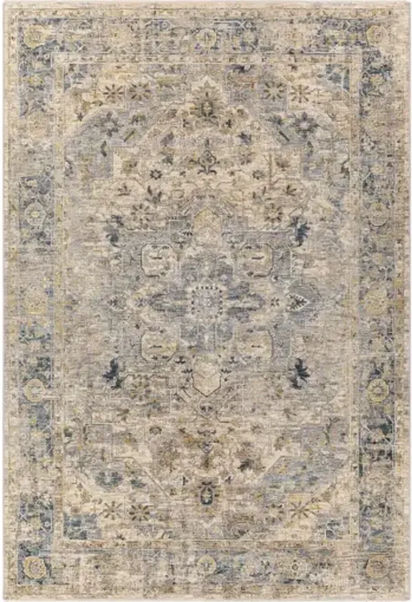 Aspendos APS-2310 2'7" x 7'3" Rug